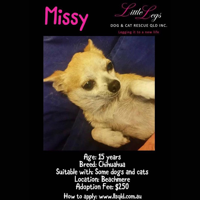 Photo of Missy