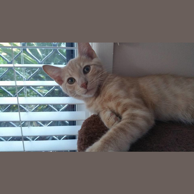 Photo of Rueben