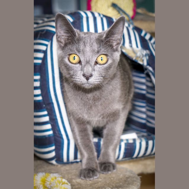 Photo of Paula