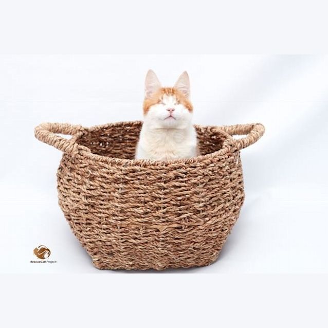 Photo of Stevie & Isaac 