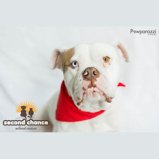 Photo of Maximus