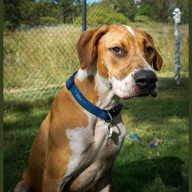 Photo of Ranger