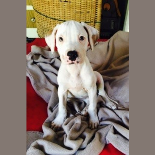 Photo of Bobbi