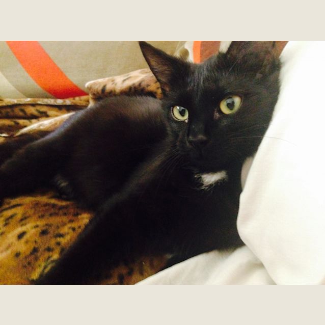 Photo of Spookie