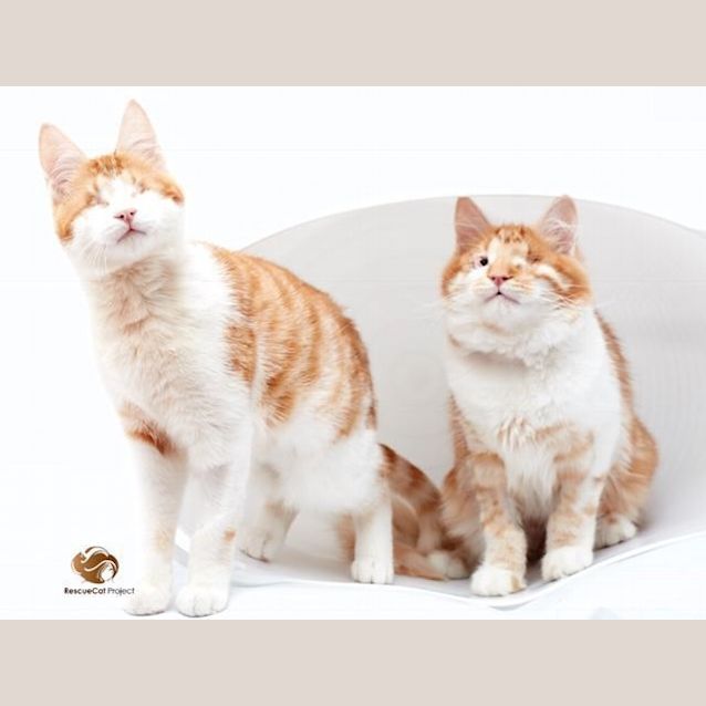 Photo of Stevie & Isaac 