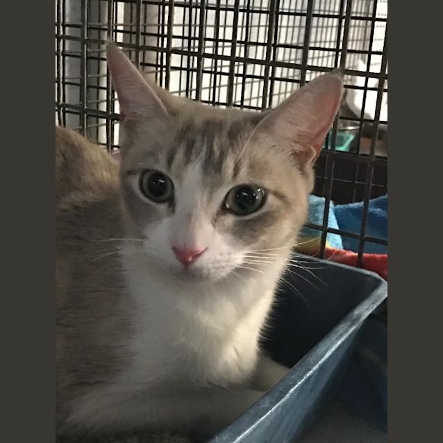 Photo of Evie