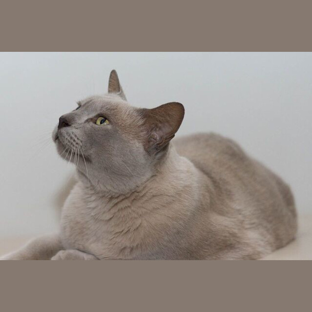 Photo of Leon