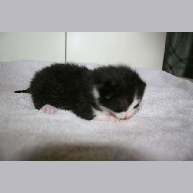 Photo of New Babies Born In A Pound