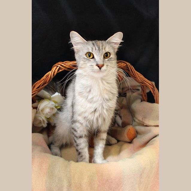 Photo of Illy