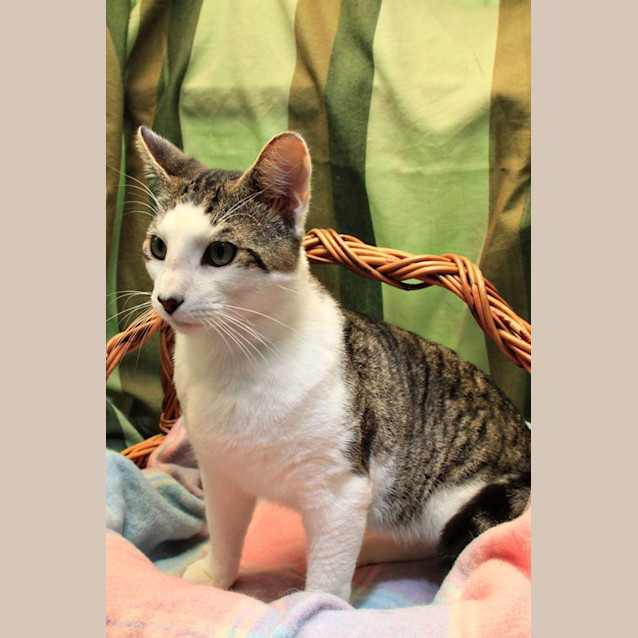 Photo of Max