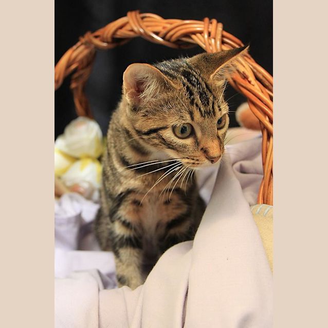 Photo of Betty