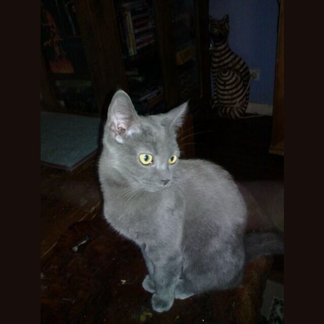 Photo of Gemma