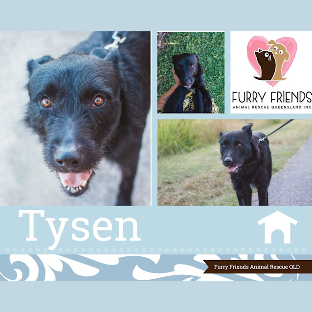 Photo of Tysen