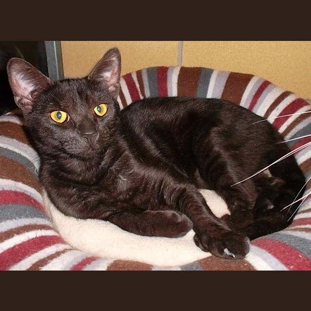 Photo of Nikko