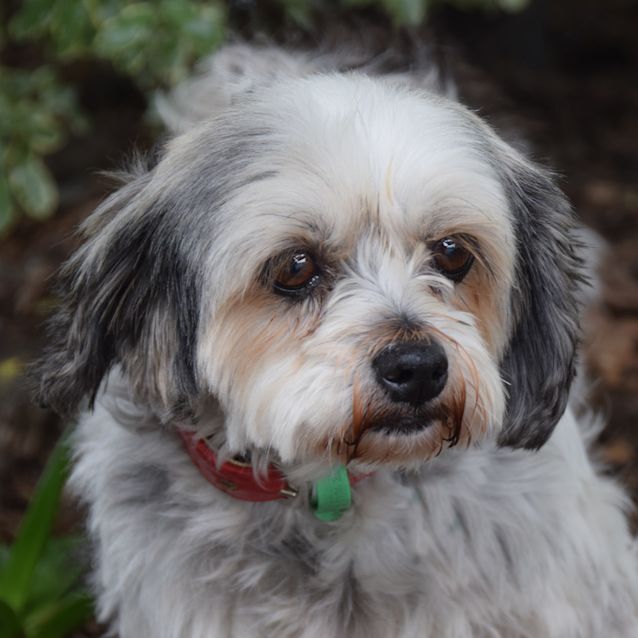 Photo of Maggie Id 30803