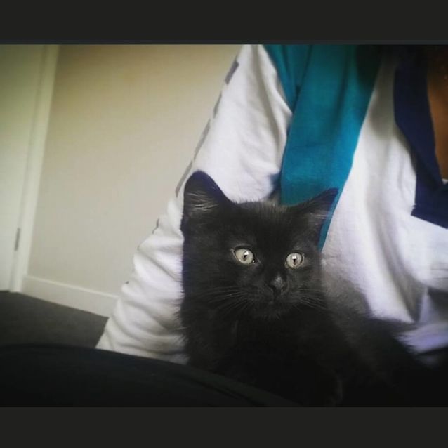 Photo of Lotti
