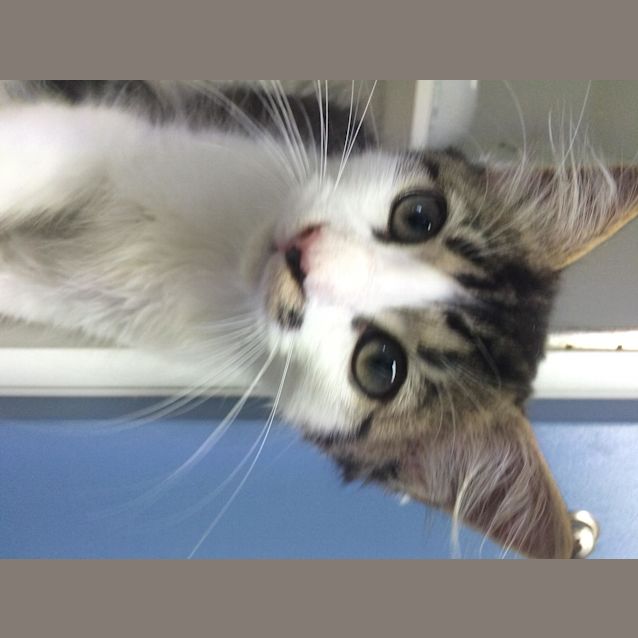 Photo of Bounty