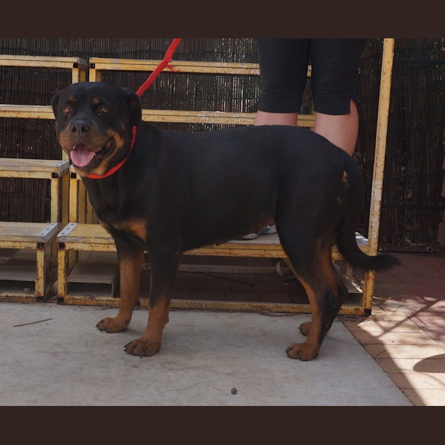 Photo of Tess
