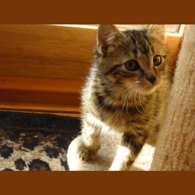 Photo of Missy