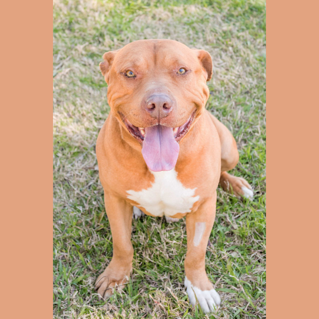 Photo of Buster
