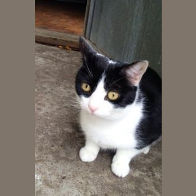 Photo of Jade @The Pet House Erina