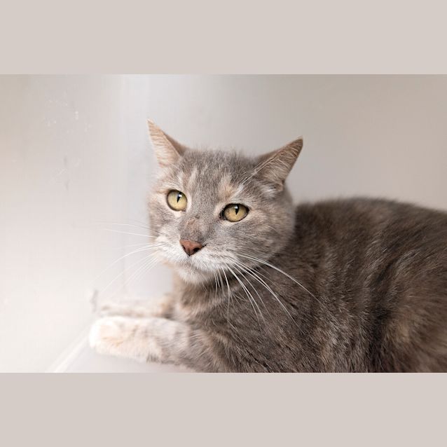 Photo of Tabitha