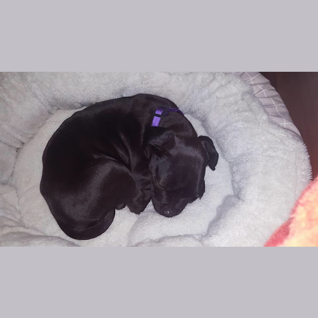 Photo of Nina