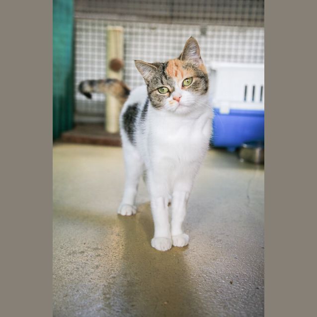 Photo of Alice