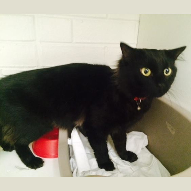 Photo of Vortex (4534)