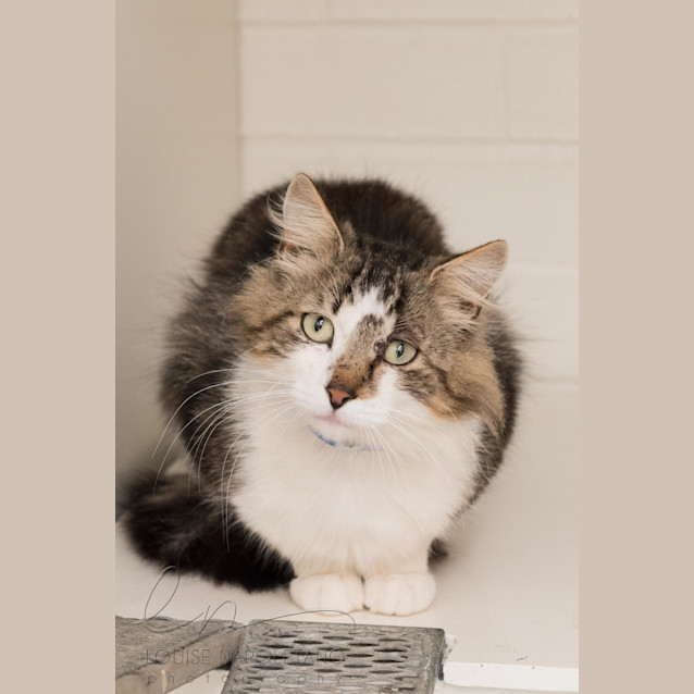 Photo of Solstice (4099)