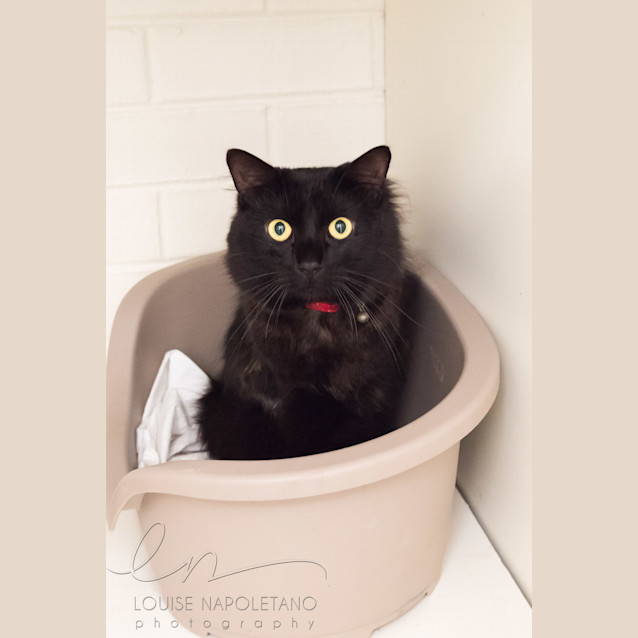 Photo of Vortex (4534)