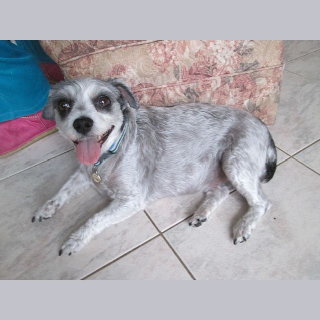 Photo of Angel E1343