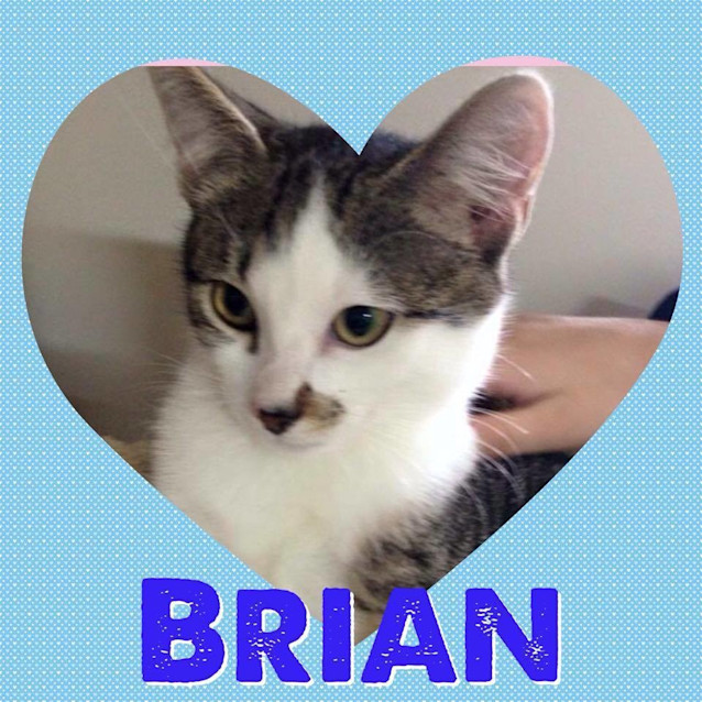 Photo of Brian