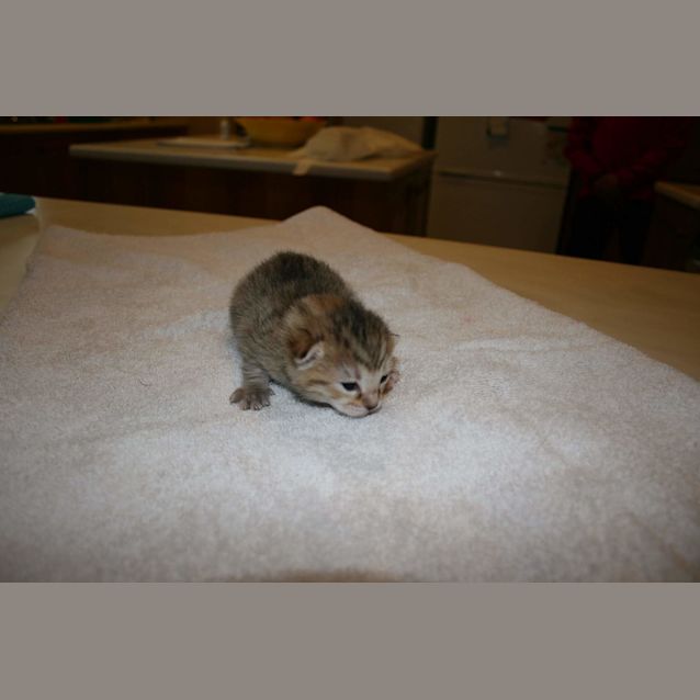 Photo of New Babies Born In A Pound