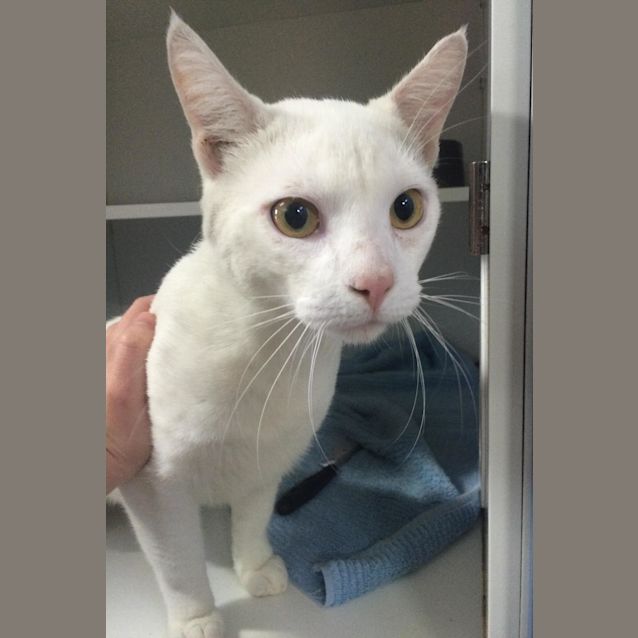 Photo of Olaf