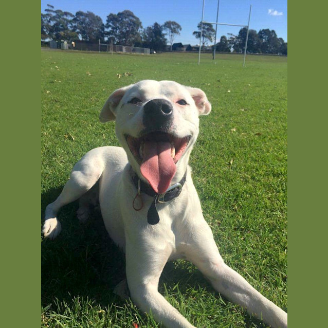 Photo of Winnie (Dog Friendly)