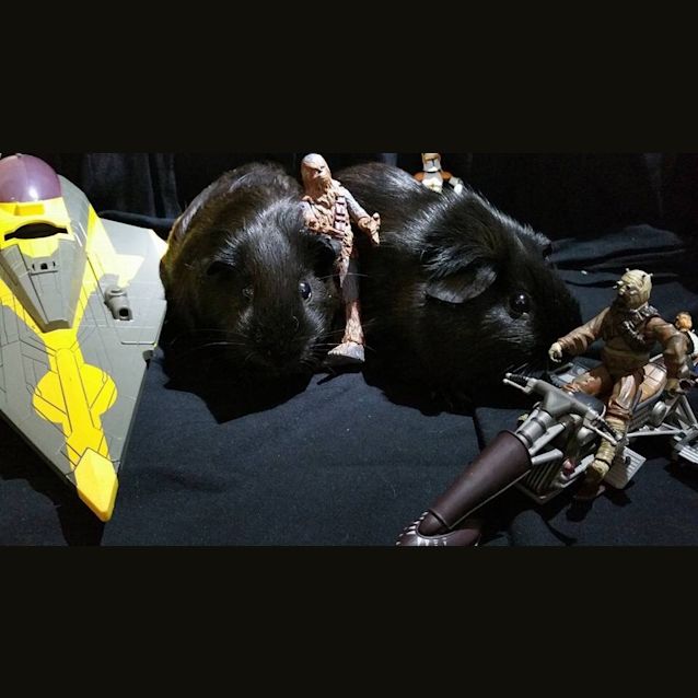 Photo of Padmae & Leia