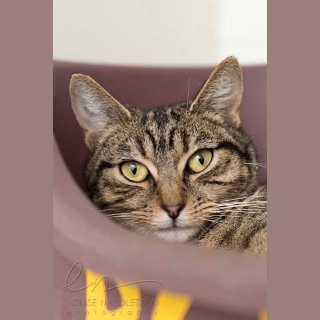 Photo of Princess (2777)