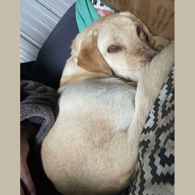 Photo of Tiny