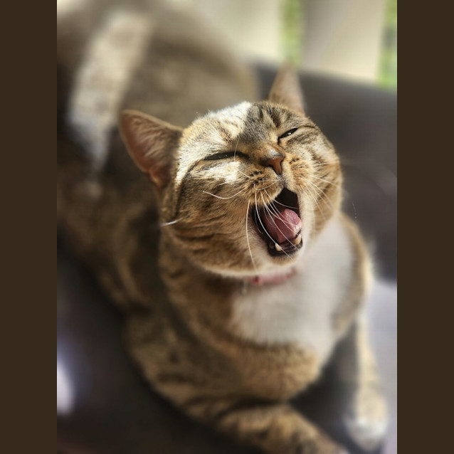 Photo of Mickey 🐭🏰