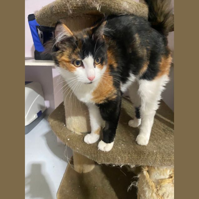 Photo of Duchess 