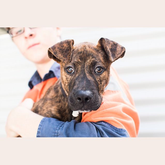 Photo of Morty