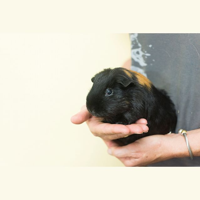 Photo of Larni