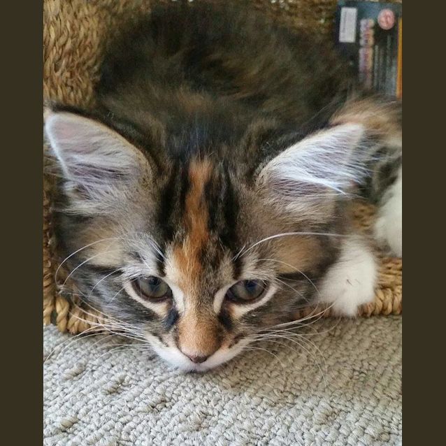 Photo of Lexi  