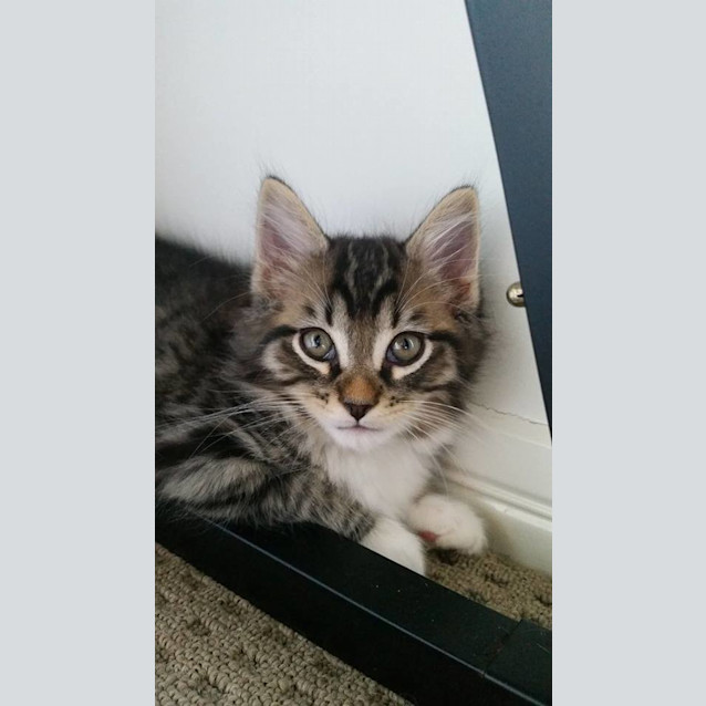 Photo of Leo