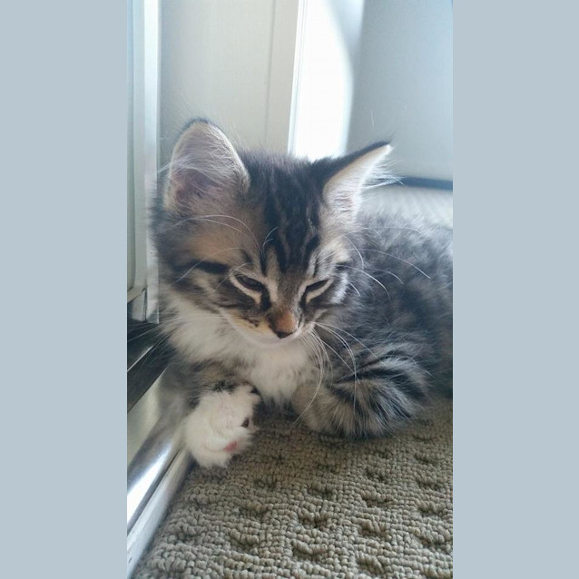 Photo of Leo