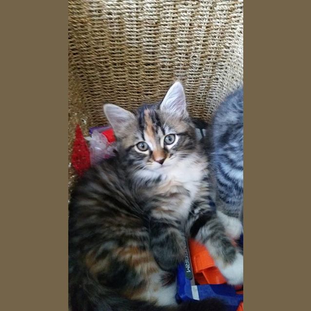Photo of Lexi  