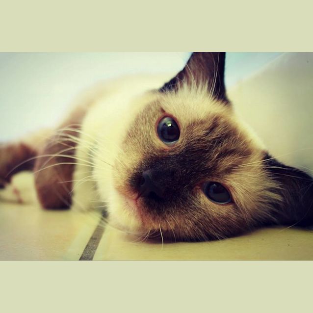 Photo of April