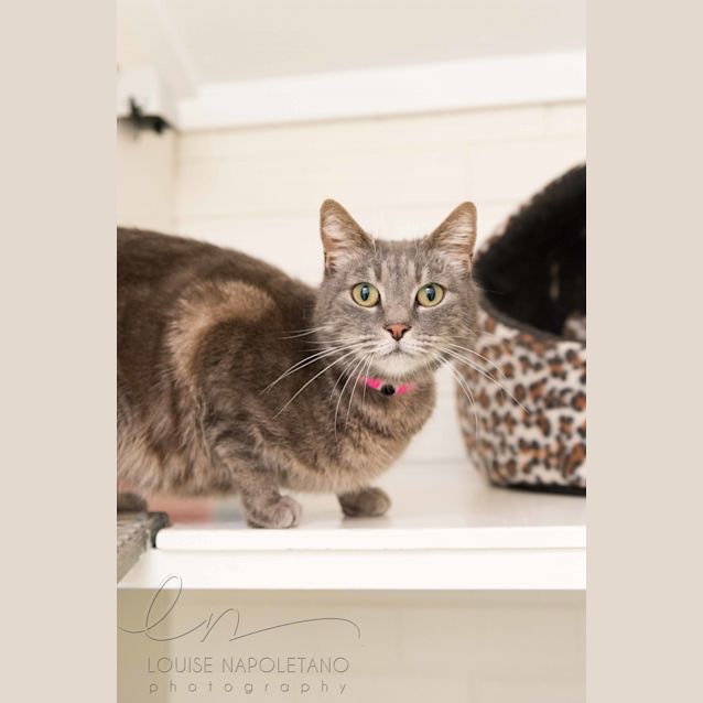 Photo of Princess (4659)