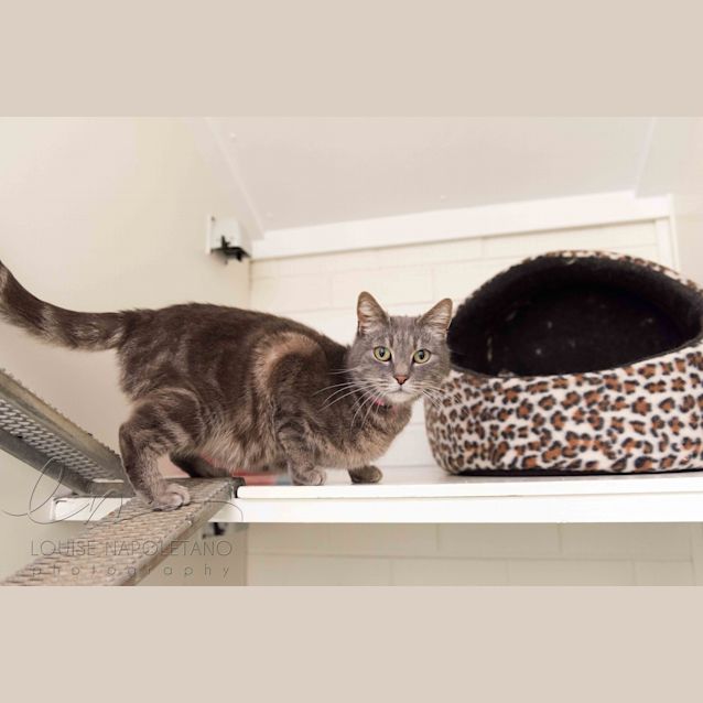 Photo of Princess (4659)